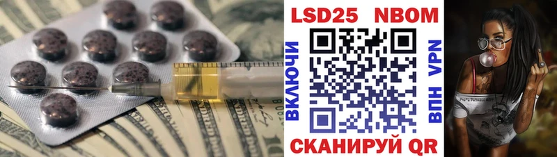 нарко площадка клад  как найти закладки  Нестеров  ЛСД экстази ecstasy 